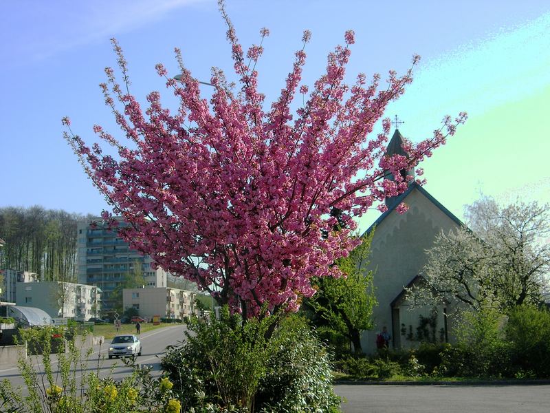 Dorfkapelle