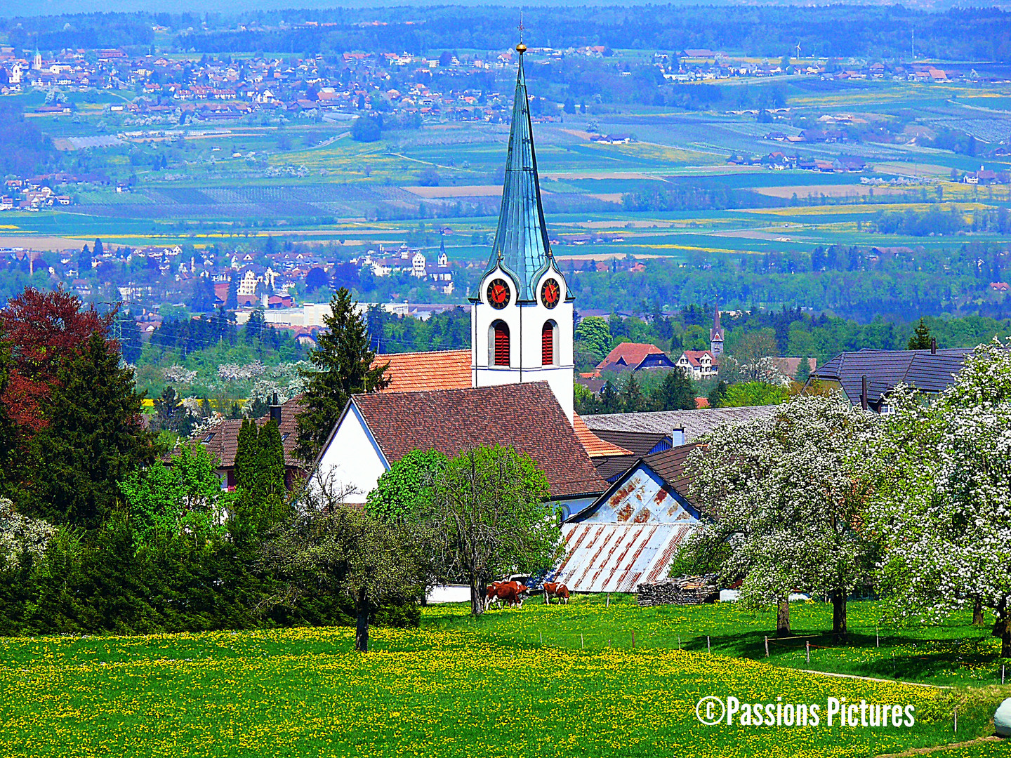 Dorfkirche Foto & Bild architektur, sakralbauten, außenansichten von