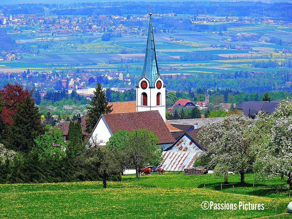 Dorfkirche Foto & Bild architektur, sakralbauten, außenansichten von