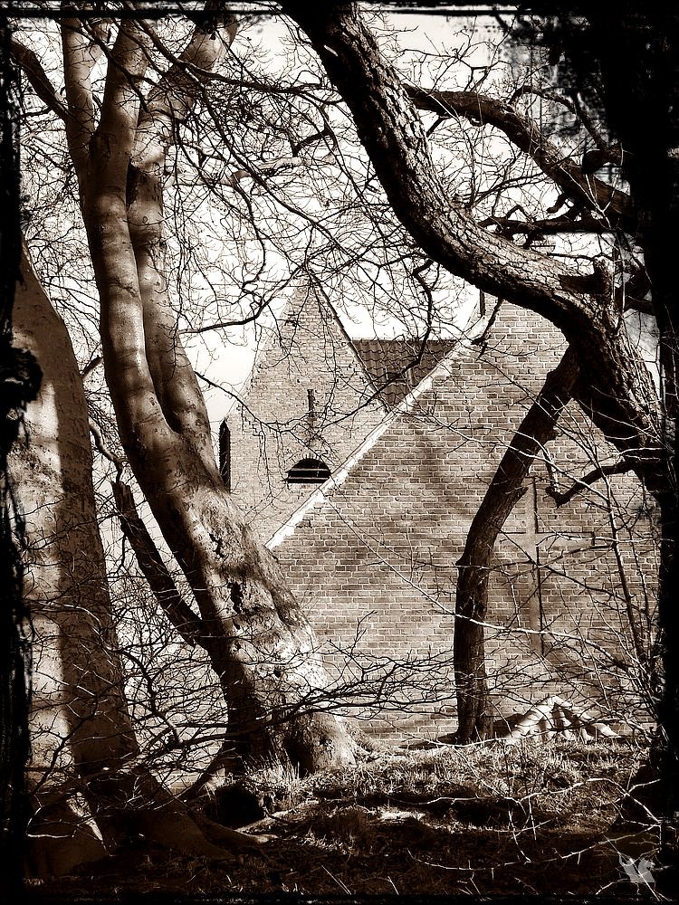 Dorfkirche Göhren auf Rügen