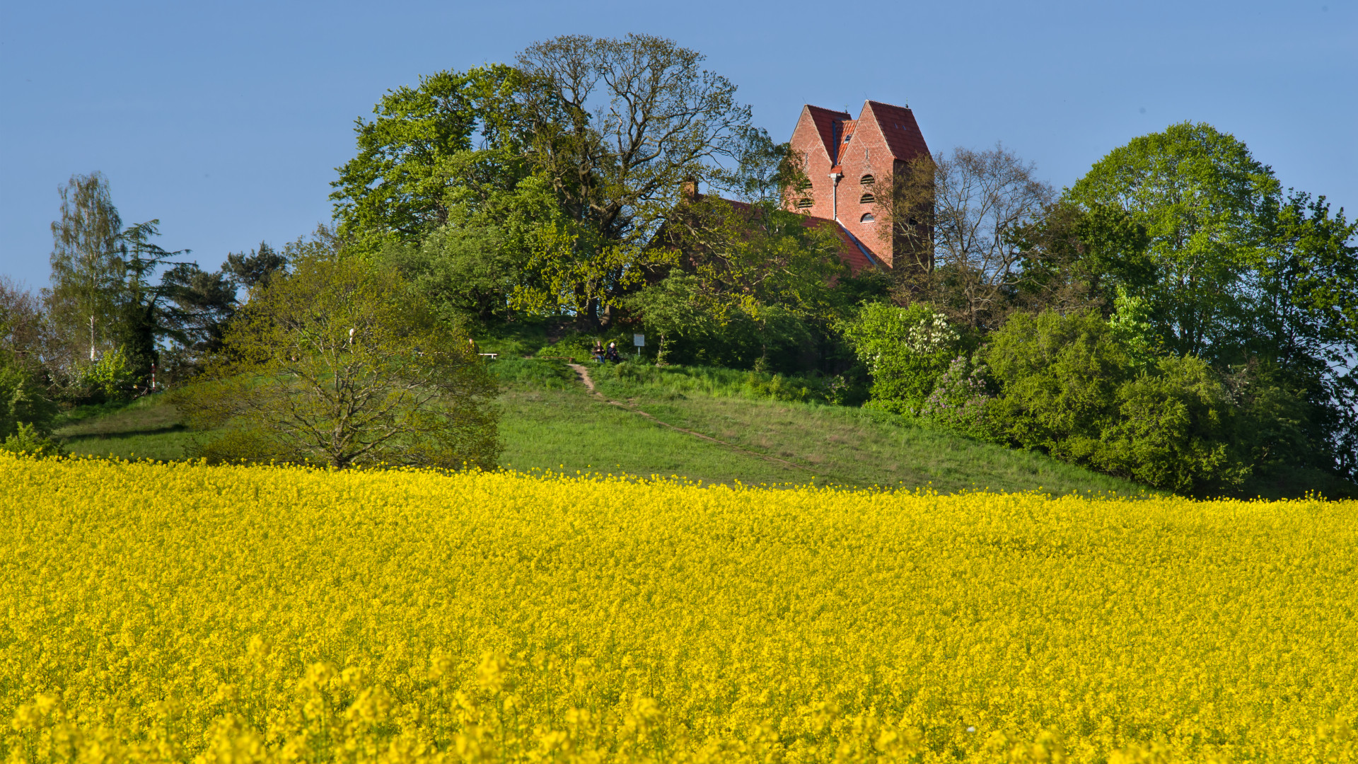 Dorfkirche Göhren