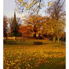 dorfkirche mellenthin im herbstlaub