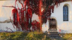 Dorfkirche mit Wein