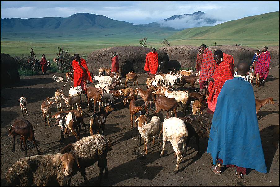 Dorfleben der Massai