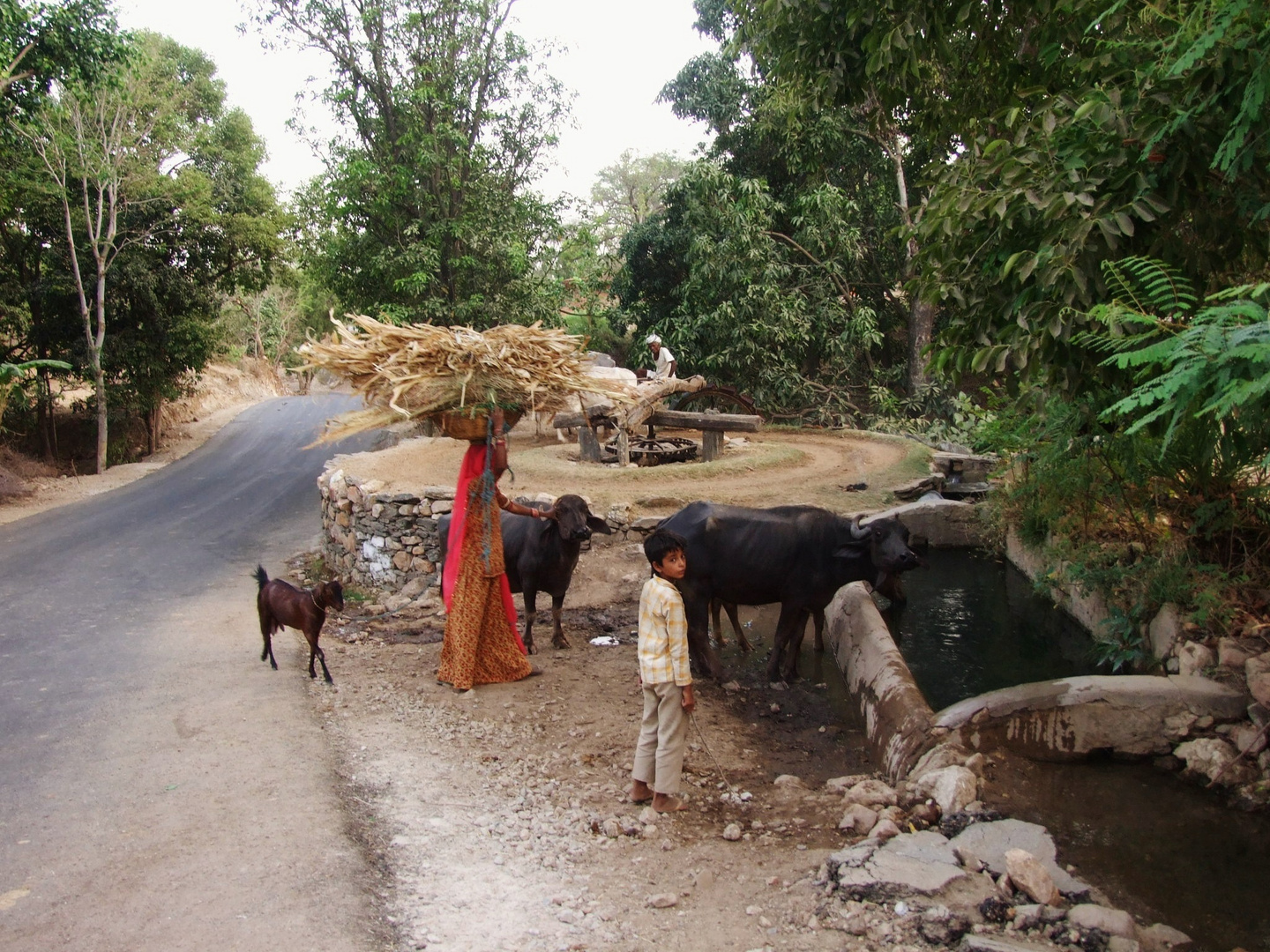 Dorfleben in Indien