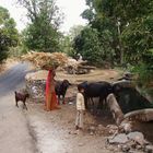 Dorfleben in Indien