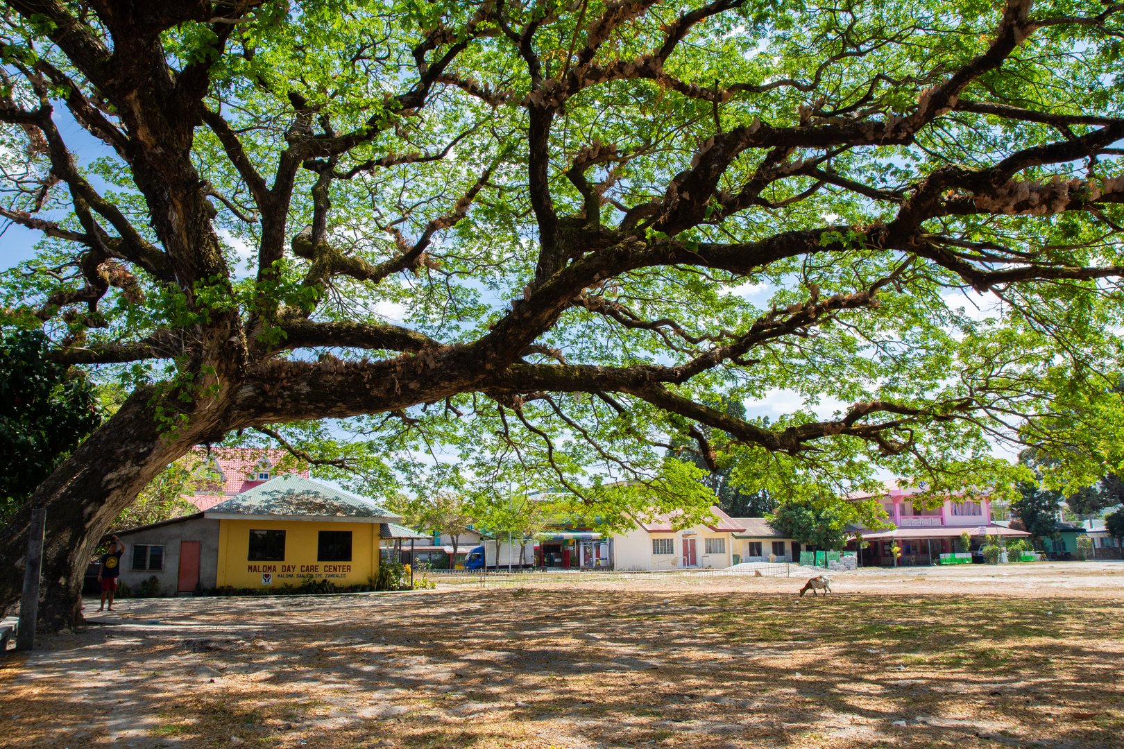 Dorfplatz auf Zentral Luzon / Philippinen