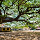 Dorfplatz auf Zentral Luzon / Philippinen