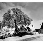 Dorfplatz im Winter