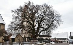 Dorfrundgang ~  und nun - wohin?