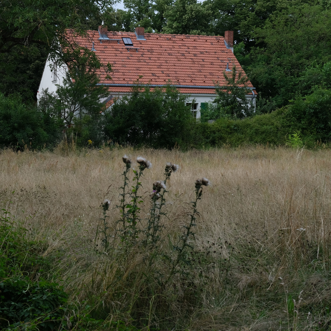 Dorfschmiede Marienfelde