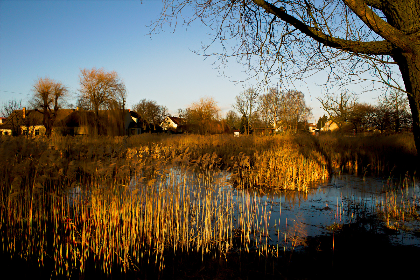 Dorfteich Foto & Bild landschaft, bach, fluss & see, see, teich