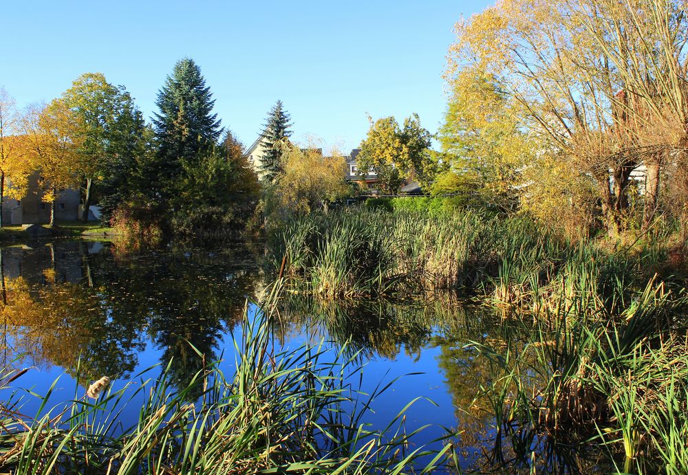 Dorfteich Baruth im Herbst