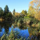 Dorfteich Baruth im Herbst