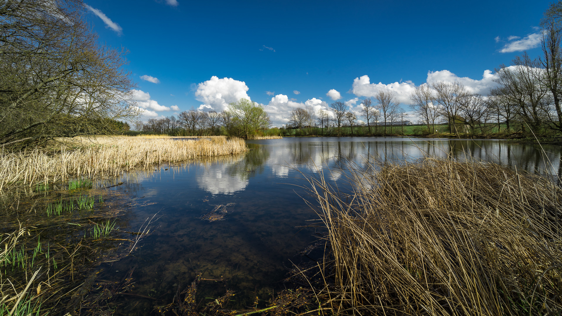 Dorfteich bei Gera