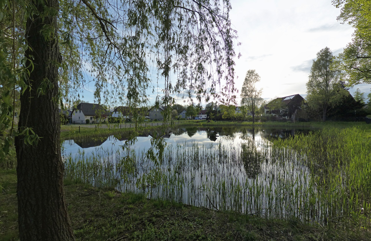 Dorfteich im Dahmeland