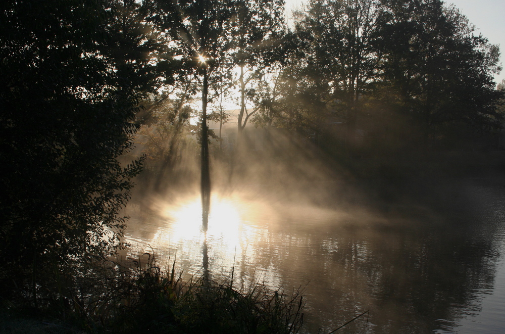 Dorfteich im Morgennebel