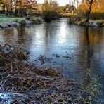 Dorfteich im Winter