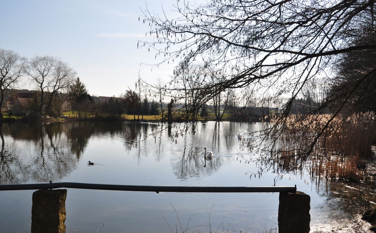 Dorfteich in See bei Niesky