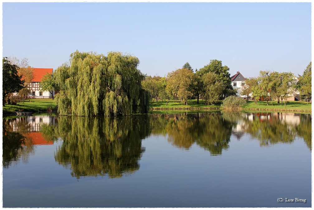 Dorfteichspiegelung im Herbst