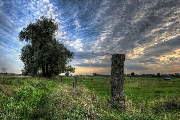 Dorfwiesen im Abendlicht