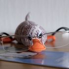 User Profile Photo