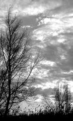 Dormono,dormono sulla collina...