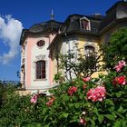 Dornburger Schlösser - Das Rokoko-Schloss in voller Blüte - Dornburg (Saale)