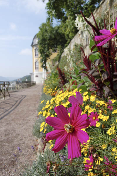 Dornburger Schloss