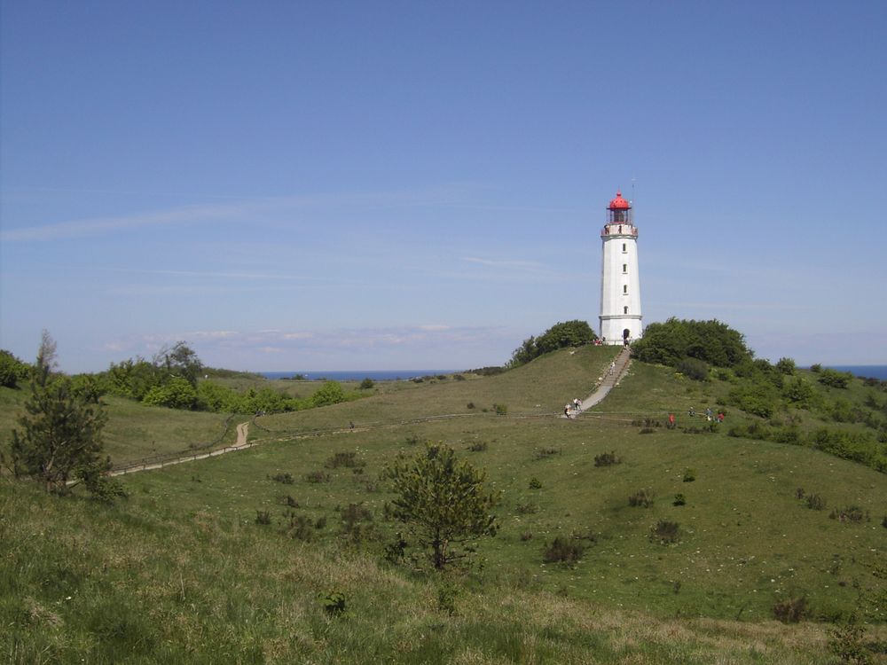 Dornbusch auf Hiddensee