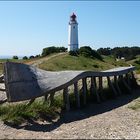 Dornbusch auf Hiddensee