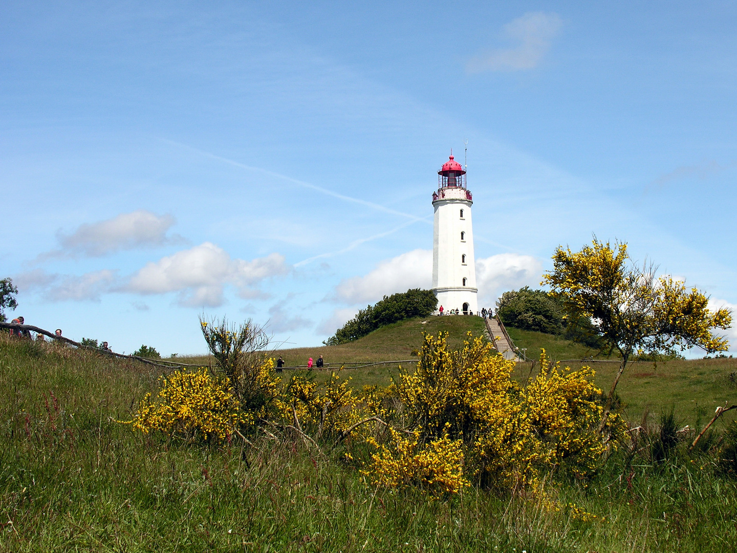 Dornbusch Hiddensee