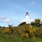 Dornbusch Hiddensee