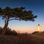 Dornbusch Hiddensee