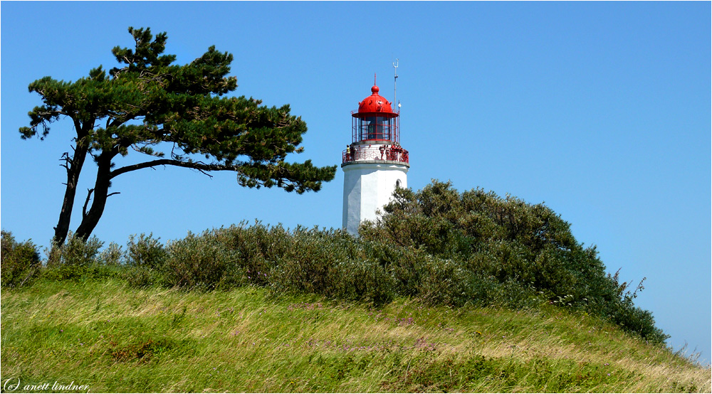 Dornbusch, Hiddensee