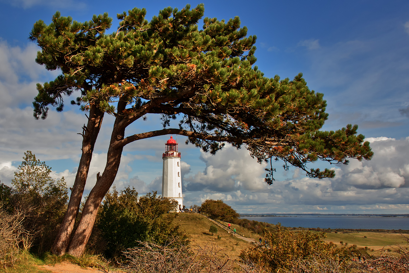 Dornbusch Hiddensee