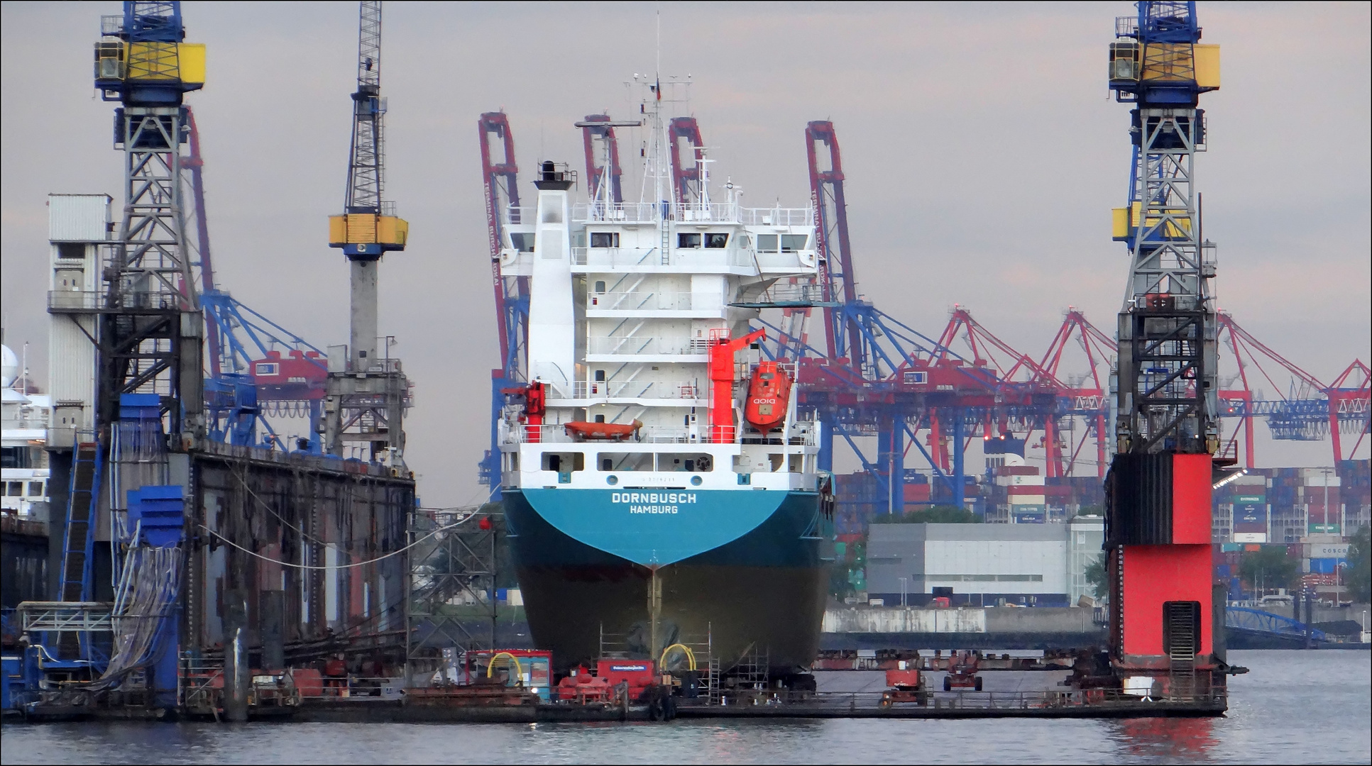 "DORNBUSCH" im Dock