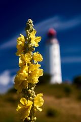 Dornbusch Leuchtturm, Hiddensee