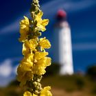 Dornbusch Leuchtturm, Hiddensee