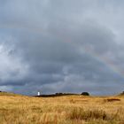 Dornbusch mit Regenbogen