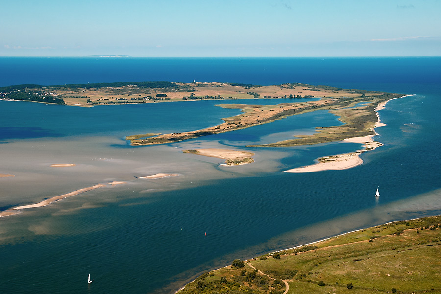 Dornbusch von Hiddensee