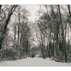 dorneburgerpark im schneekleid