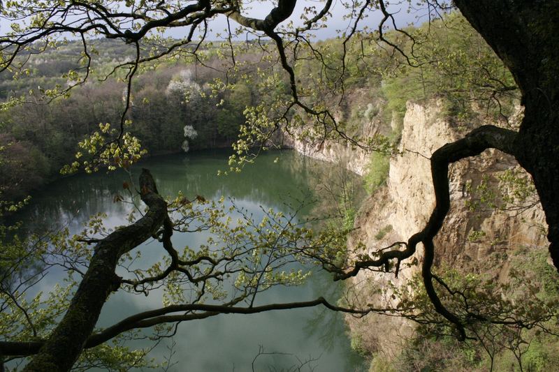 Dornheckensee