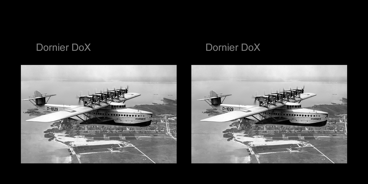 Dornier DoX, 1929