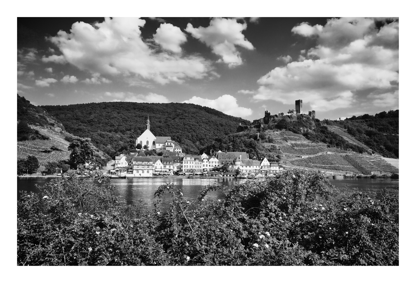 Dornröschen der Mosel II