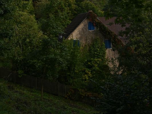 Dornröschen, wie alles begann.......