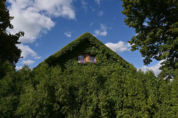 Dornröschens Dependance I