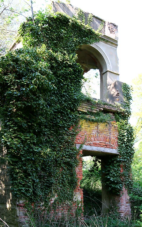 Dornröschens Turm. Rückseite