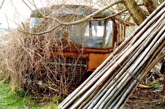 Dornröschenschlaf - Alter Ikarus-Bus 630