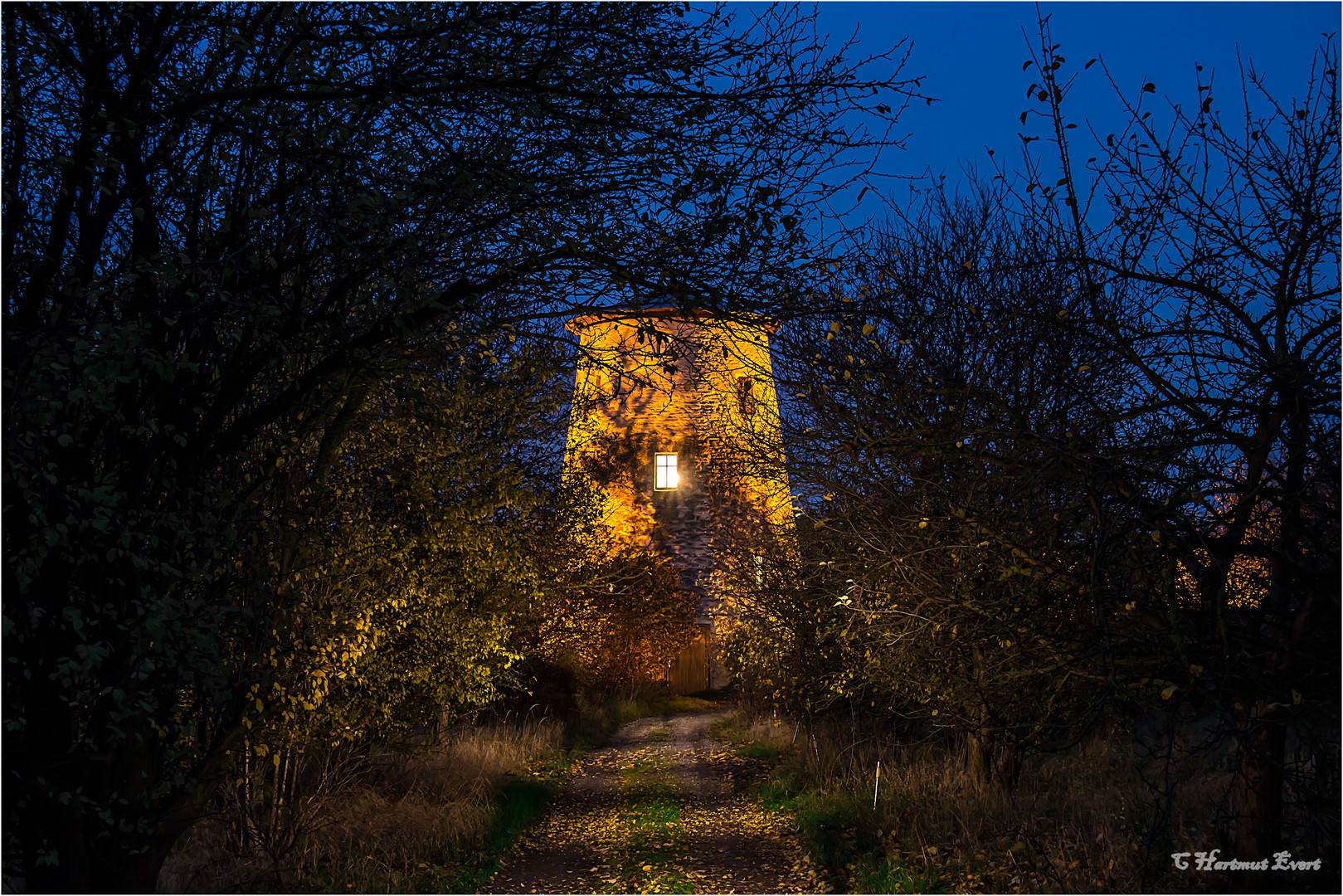 Dornröschenschloss........